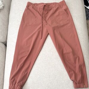 Albion Womens petite Jogger Pants